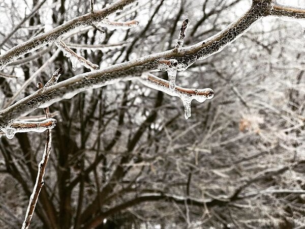 從11日晚間延續下到12日上午的冰風暴,導致大芝加哥地區12日「積冰」最多達0.5吋,不僅道路交通受波及,更造成5萬多戶家庭停電。 聯合報系資料照/記者黃惠玲攝影