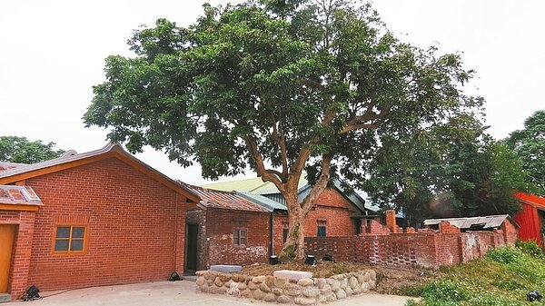 蘆竹湳林家祖厝「修舊如舊」重現風華，還從日本買回台灣檜木當梁柱。 記者范榮達／攝影