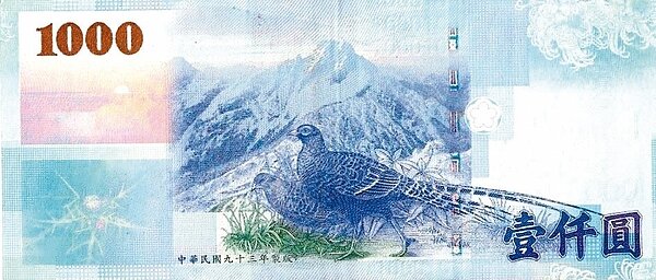 千元鈔票上這株長相奇特的植物，中興大學團隊歷經5年多，證實是台灣新的特有種「塔塔加薊 」。 記者喻文玟／攝影