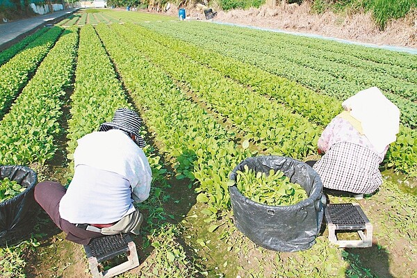 民進黨立委陳明文提案老農津貼調整從消費者物價指數（CPI）改為經濟成長率（GDP）引發爭議。 圖／聯合報系資料照片