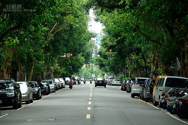 民生社區 富錦街 綠色隧道(好房資料中心)