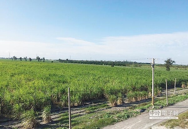 二林精密機械產業園區預定用地目前屬台糖萬興農場。