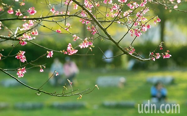 中央氣象局說，今天北部及宜花一整天較涼，高溫約20至22度，中南部及台東高溫仍達26至29度，水氣明顯減少，僅東半部有局部短暫雨，其他地區為多雲到晴。本報資料照片