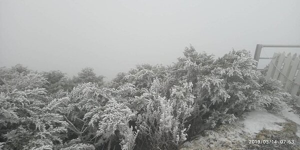 玉山清晨2時30分開始降雪,雪下了2個小時,積雪1公分。圖/中央氣象局提供