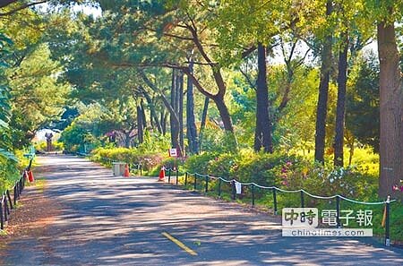 
桃園市八德區大湳森林公園，全區面積達16.2公頃，自然生態豐富。（賴佑維攝）
 