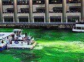 歡慶聖派翠克節　芝加哥河染綠了