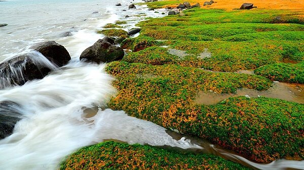 烈嶼南山頭的綠石槽最近成為民眾拍照打卡的新熱點,知名攝影達人許小西在網路上分享的照片,讓不少人直說「宛如仙境」。圖/許小西提供
