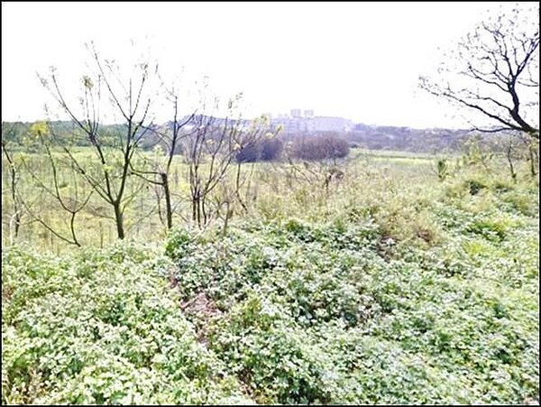 公設保留地還地於民,桃園跑在六都最前。(圖/中國時報資料照片)