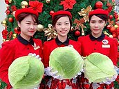 消費送高麗菜成另類耶誕禮　遠百出招力挺菜農！