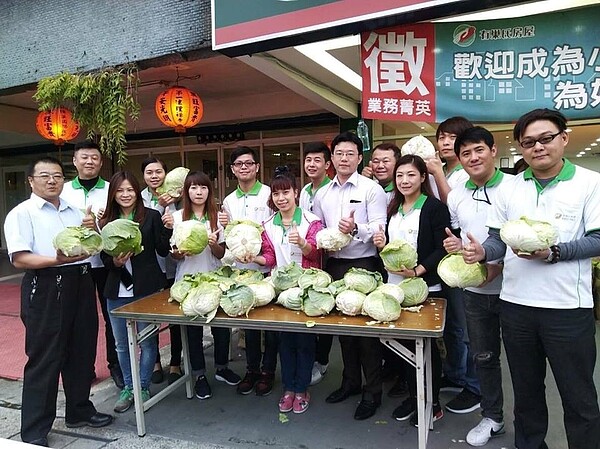 有巢氏房屋新莊中正丹鳳店號召全店夥伴買500顆高麗菜,幫助農民度過難關。(圖/有巢氏房屋提供)