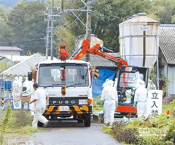 日本岐阜縣的豬瘟疫情擴大，10日又發生今年的第4例，養豬業者與民眾人心惶惶。圖為穿防護衣的岐阜縣職員，駕駛挖土機進行防疫工作。（圖取自SankeiBiz）