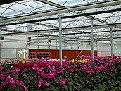 台灣國際蘭展開園　4大主題館與民眾見面