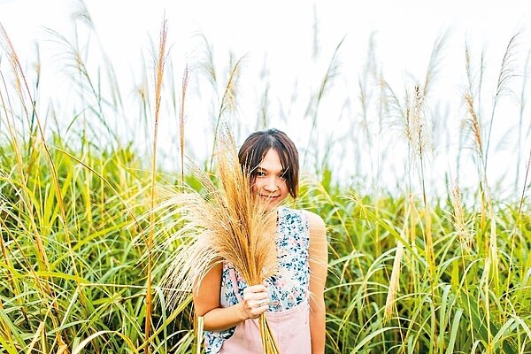 樹林武器公園上方的三角埔頂山,滿山遍野開滿芒草花,成為新北賞花祕境之一,吸引許多網美到此拍照打卡。 記者陳珮琦/翻攝