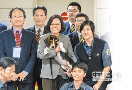 蔡英文總統19日視察桃園機場，了解國境非洲豬瘟防疫措施，在最後與防疫人員並抱著一隻檢疫犬合影時，檢疫犬冷不防的回頭親了蔡英文總統一下，讓她笑開懷。（陳麒全攝）