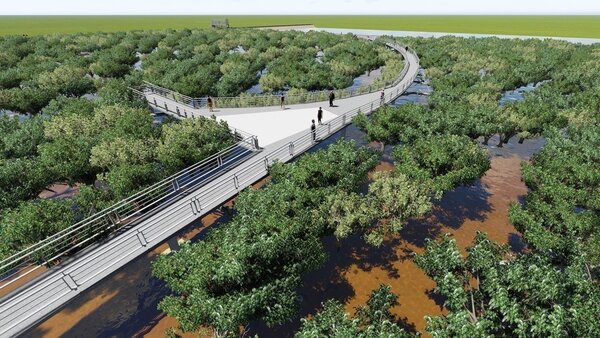 彰化「紅樹林海空步道」明年年底完工，生態環境恐成隱憂。