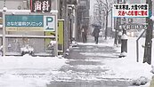暴風雪警報！元旦連假赴日東北、北海道留意交通資訊