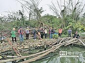 守護牛欄河　關西人建監測池