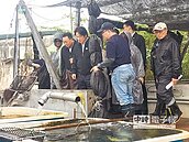 年輕人返鄉　賴揆誇地方創生