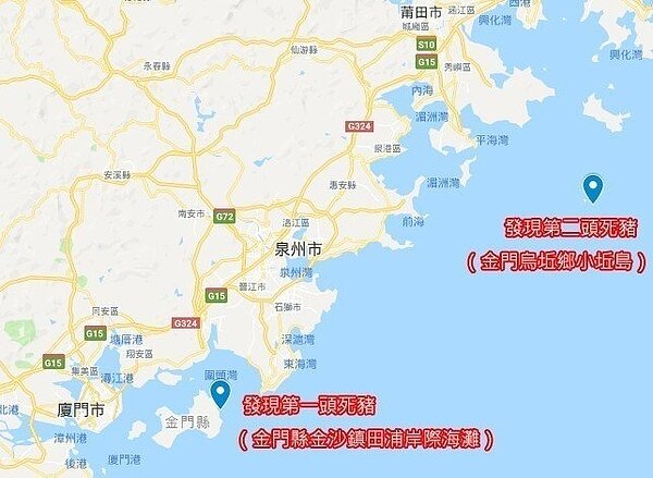 金門漂流死豬又爆1例。(聯合新聞網)