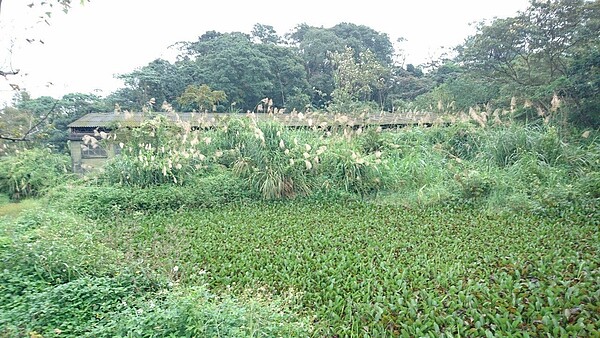 土城看守所等矯正與司法機關腹地不足,因此將已搬遷土城彈藥庫所釋出的土地,提供給土城看守所、新北地方法院、新北地檢署等機關使用。圖/新北城鄉局提供