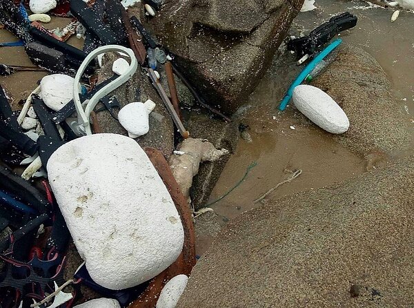 金馬澎分署第九岸巡隊烏坵安檢所於今日上午8時40分,在烏坵鄉的小坵北面岸際發現一隻死亡豬屍,死亡豬隻的外觀腐爛且有被啃食現象。圖/第九岸巡隊提供