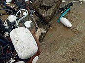 金門烏坵岸際又現豬屍　確認是大陸漂來的