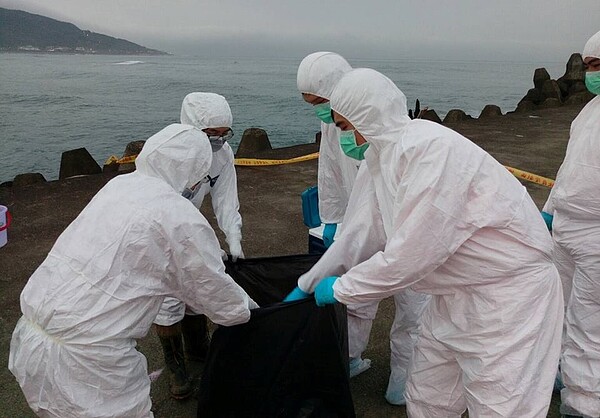 非洲豬瘟 沙珠灣。圖/好房網翻攝