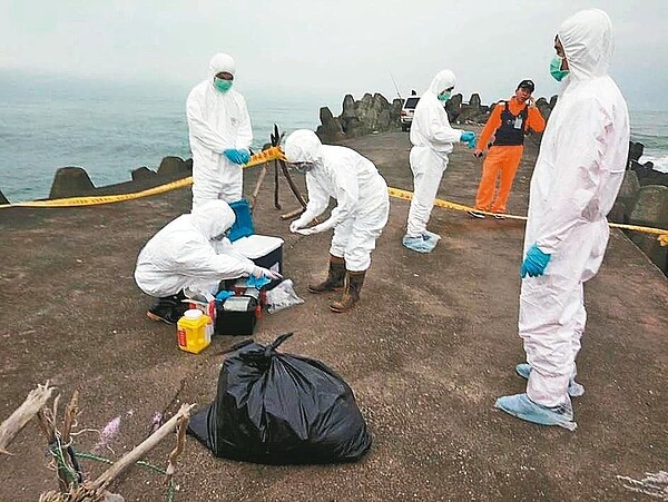 金山所發現的漂流屍經防疫人員和獸醫到場,確認是具狗屍體,並非「豬屍」。 圖/新北市農業局提供