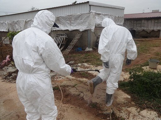 金門防疫人員訪視各養豬場，全副武裝。 圖／金門縣府提供