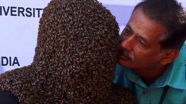 印度男子挑戰金氏世界紀錄，不怕被叮，頭掛6萬隻蜜蜂4個多小時，成功創下新紀錄。圖片擷取YouTube／Newsflare影片
