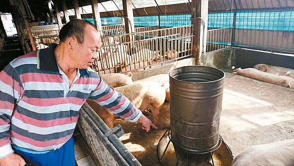 雲林縣全面禁止廚餘養豬，業者表示已配合縣府將廚餘改為飼料，但成本增加了近七成。 記者邱奕能／攝影