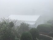 嚴凱泰低調安葬金寶山　長伴父母嚴慶齡、吳舜文