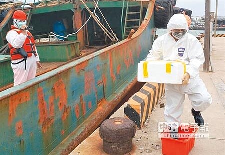 澎湖查獲大陸漁船夾帶豬肉,防疫人員全副武裝小心翼翼進行消毒封存銷毀。(陳可文攝)