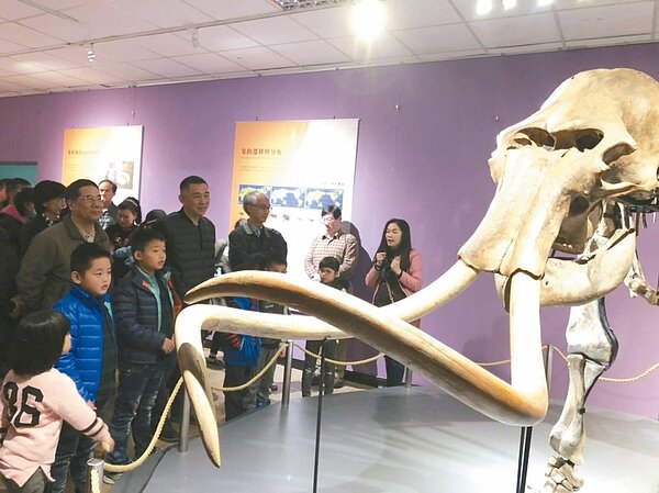 「史前巨獸-古生物特展」昨在金門縣文化局舉行,金門縣長楊鎮浯與小朋友一起專注的觀看消失的長毛象。 記者蔡家蓁/攝影