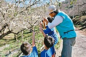 泡湯、賞梅樂活遊　體驗高雄六龜愛情產業