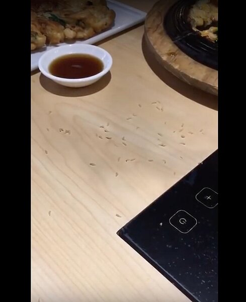 連鎖知名火鍋店「韓虎嘯」竟傳出用餐桌上滿滿都是蛆。圖／翻攝自爆料公社