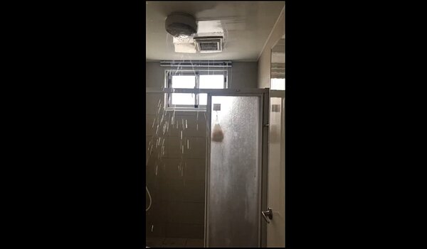 新北市林口世大運選手村社會住宅,因前幾天接連豪大雨,竟造成社宅屋內的廁所也下起小雨,讓居民苦不堪言。圖/市議員蔡淑君提供