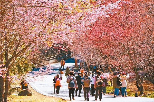 春遊補助比暖冬冷清,有七成旅行社業者根本不想參加。 圖/聯合報系資料照片