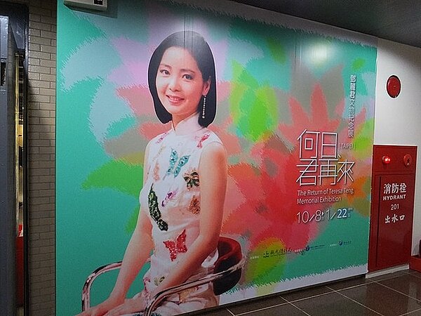 鄧麗君(取自維基百科)