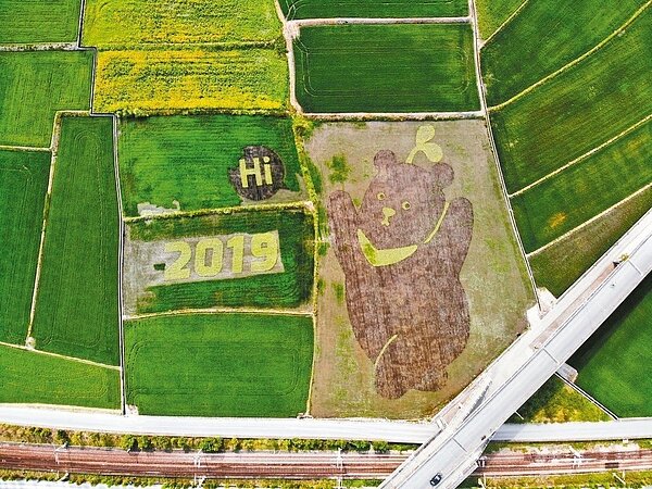 圖／黑熊保育協會提供