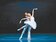萬眾期待　馬林斯基芭蕾獨舞者名單公布