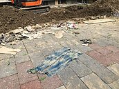 龍山國小挖到人骨　校長下午說明了