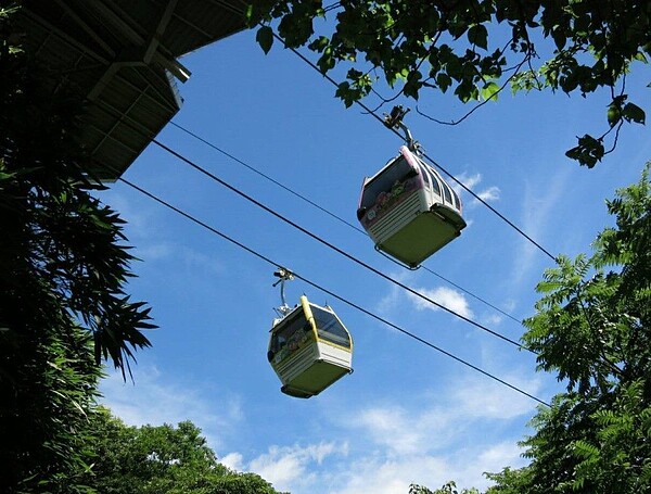 貓纜。圖/本報資料照