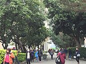 社大修滿128學分　可發畢業證書