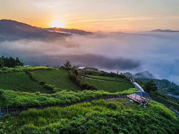 坪林區因地處翡翠水庫上游的水源保護區，長年未受山林開發破壞，青山綠水的環境成為孕育優質茶葉的搖籃。（中時資料照片／譚宇哲翻攝）