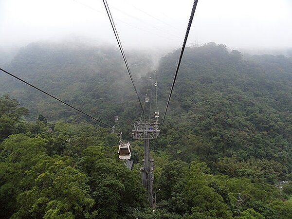 貓纜20日起歲修,6月5日營運。(取自維基百科)