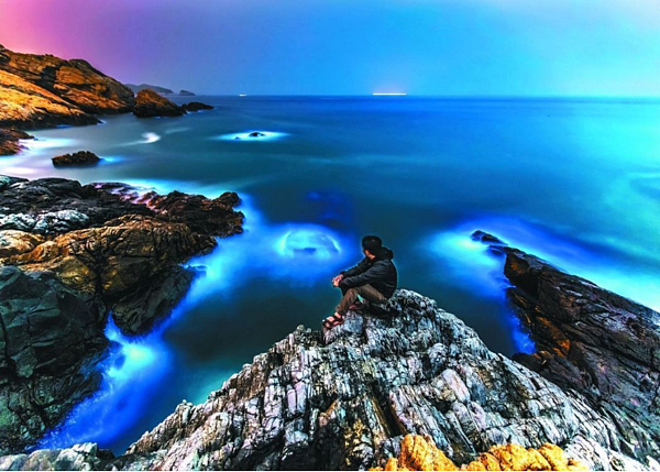 馬祖正值「藍眼淚」季節,今上午追尋藍眼淚熱門地點的北竿馬鼻灣及橋仔澳口出現今年密度最高的赤潮,預計近期將出現藍眼淚大爆量。圖/連江縣政府提供