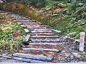 姜子寮山步道整修後　反遭打臉：不接地氣