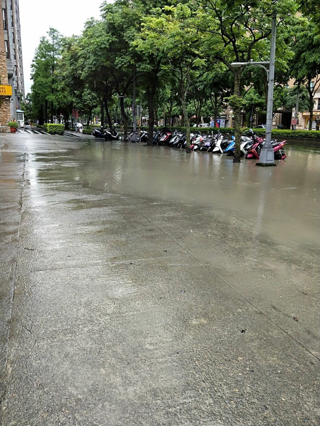 今天受到對流雲系影響，新北市也就降下大雨，全市時雨量前三名為鶯歌區49毫米、樹林區40毫米、三峽區43毫米最多，三峽區大義路一度出現路面積水，雨勢趨緩後已消退。圖／消防局提供