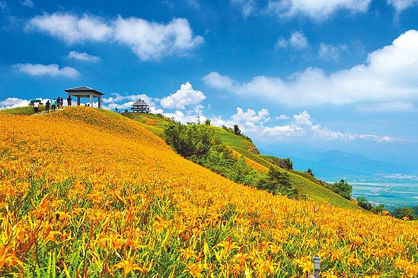 花蓮春遊補助自由行申請已於本月20日停止申辦，團體遊上月再獲800萬加碼補助，仍有申請名額。（圖／本報資料照片）